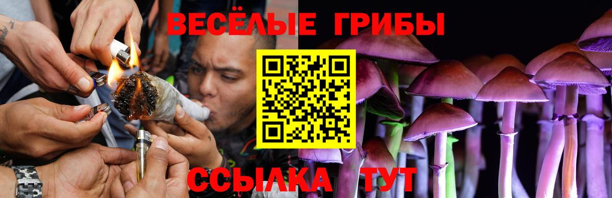 Бирск  Галлюциногенные грибы GOLDEN TEACHER  Вход с VPN 